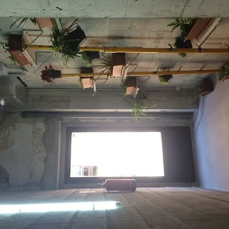 Brick - Turismo De Interior 3* Palma